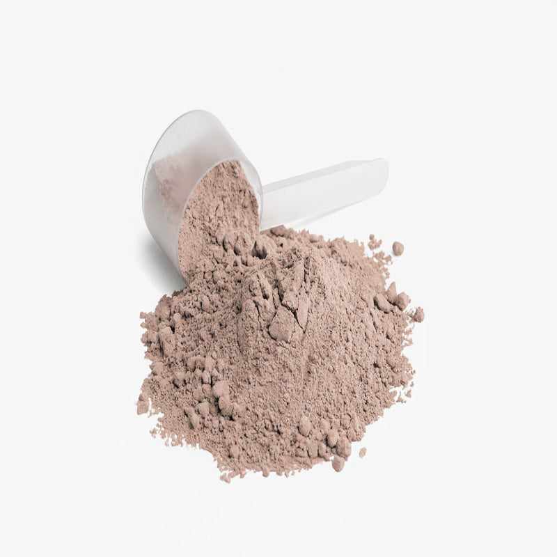 Plant Protein (Chocolate)
