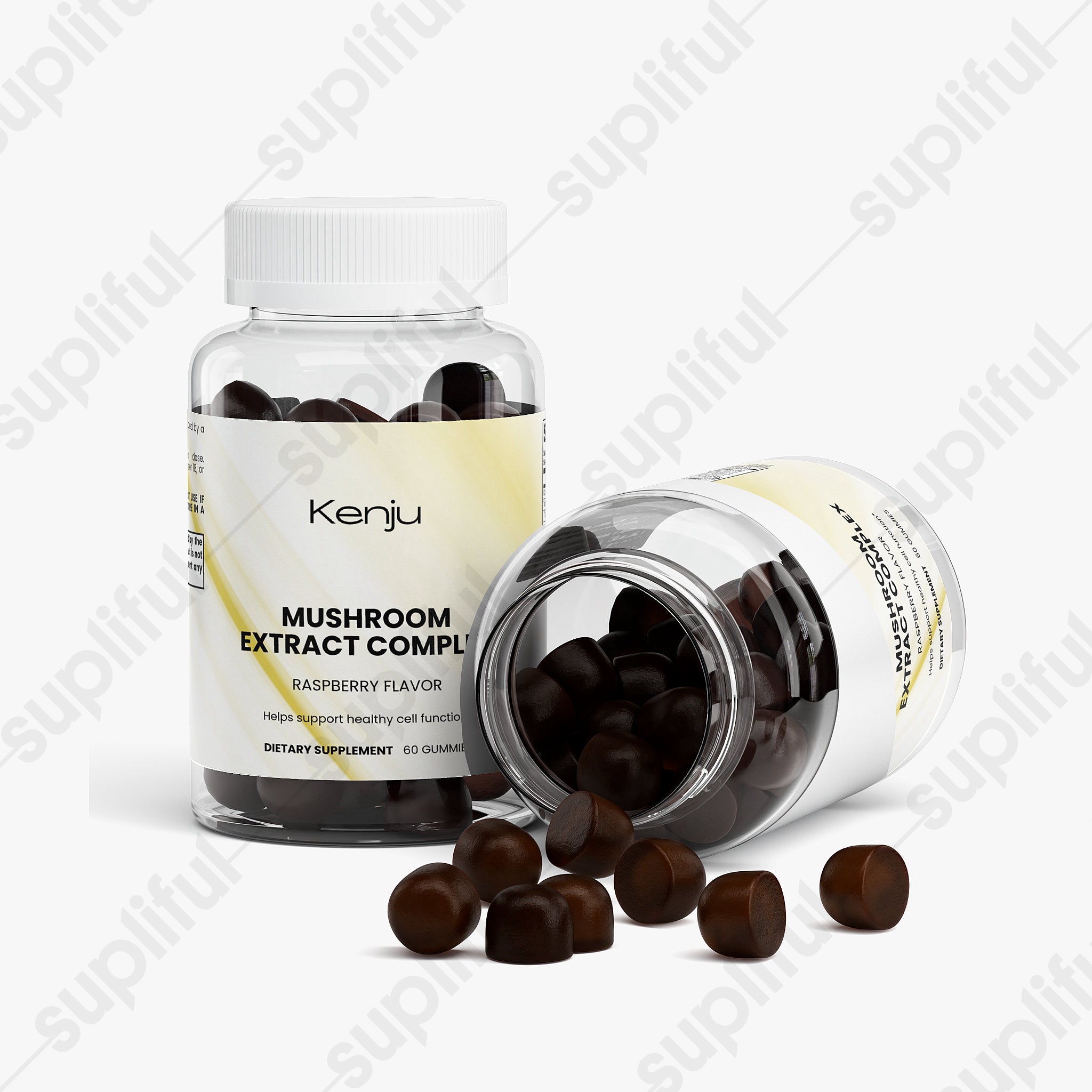 Mushroom Extract Complex