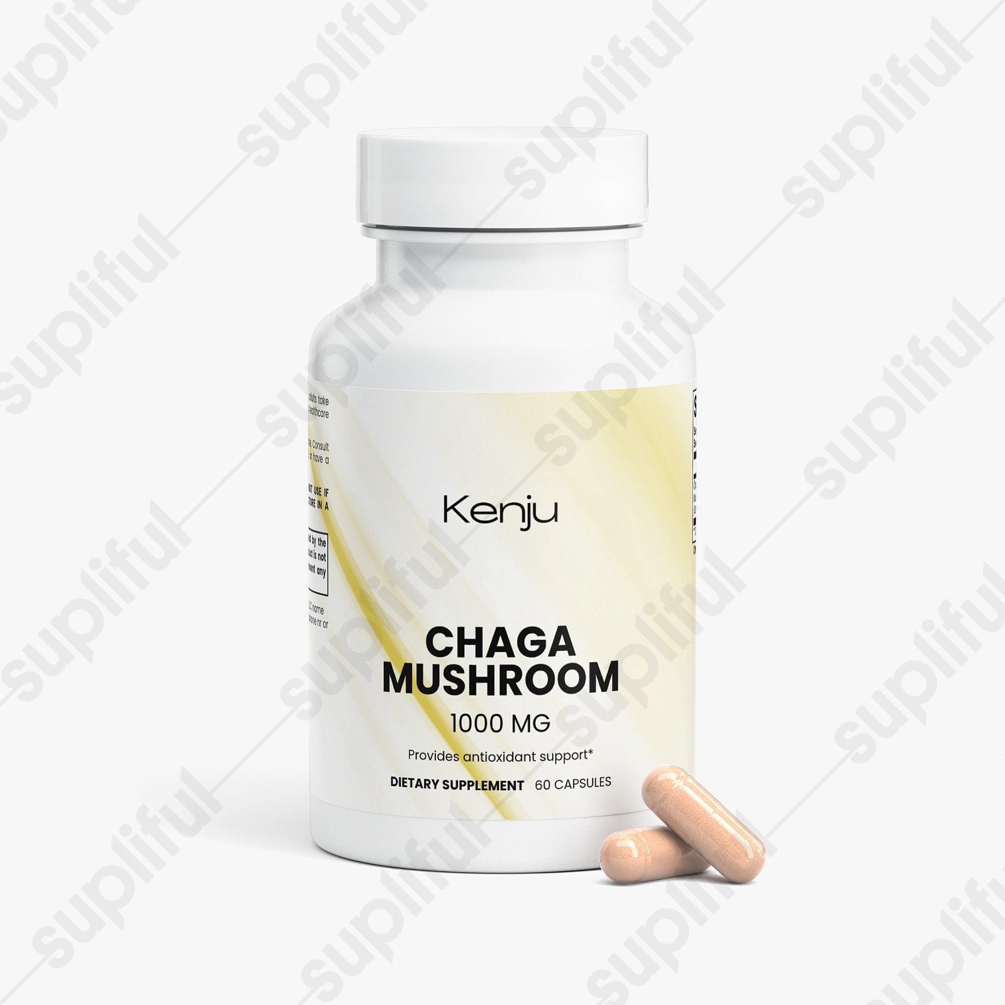 Chaga Mushroom